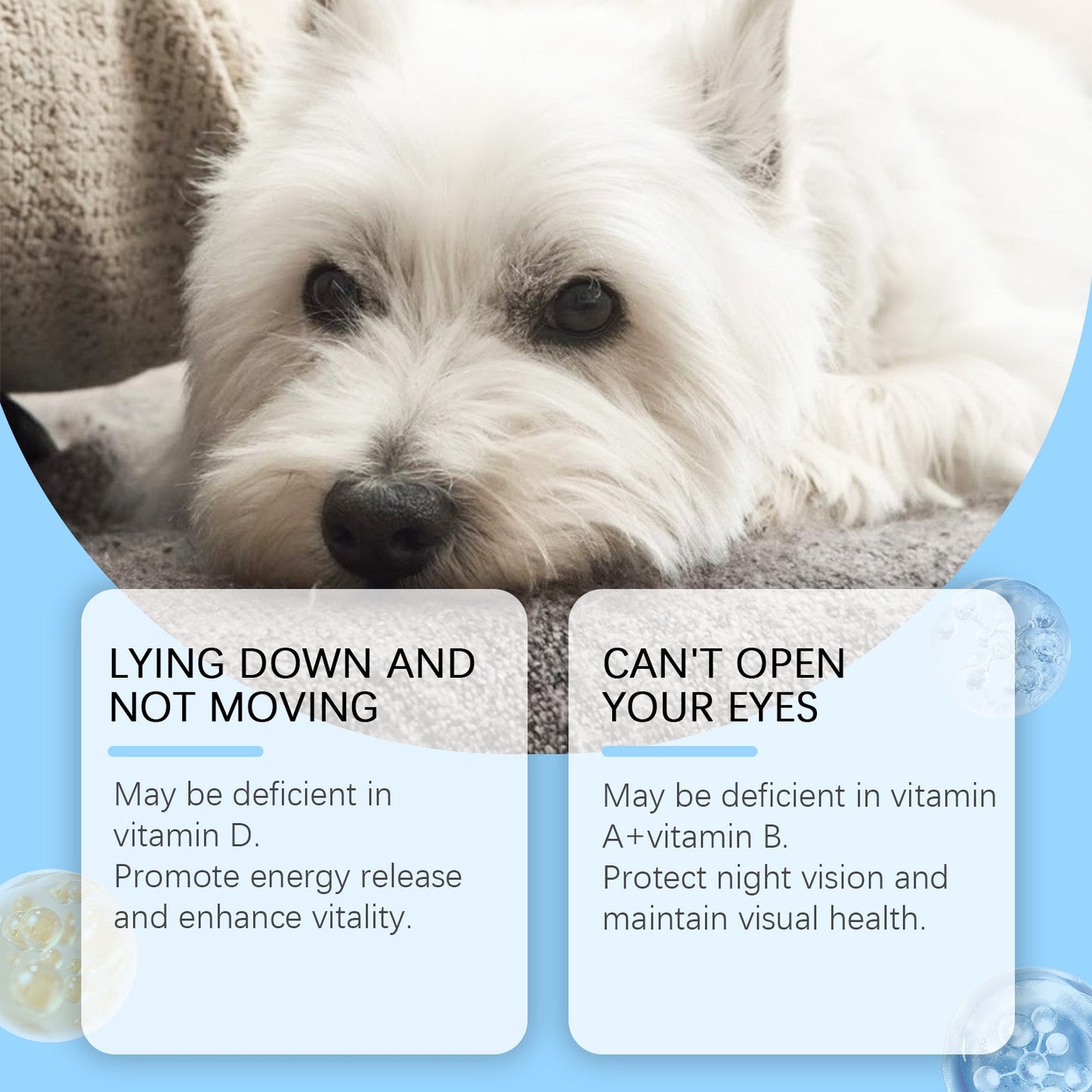 Yegbong Multivitamin tablets for dogs Special nutritional supplements for cats and dogs