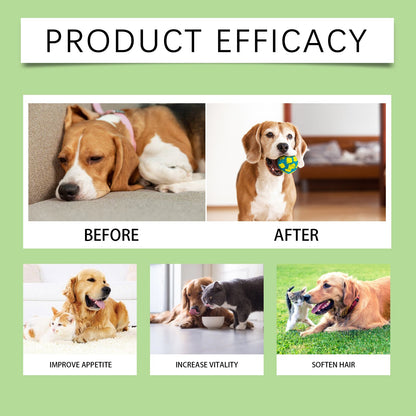 Yegbong Pet Probiotic Tablets Improves intestinal health, promotes nutrient absorption, pet care supplement
