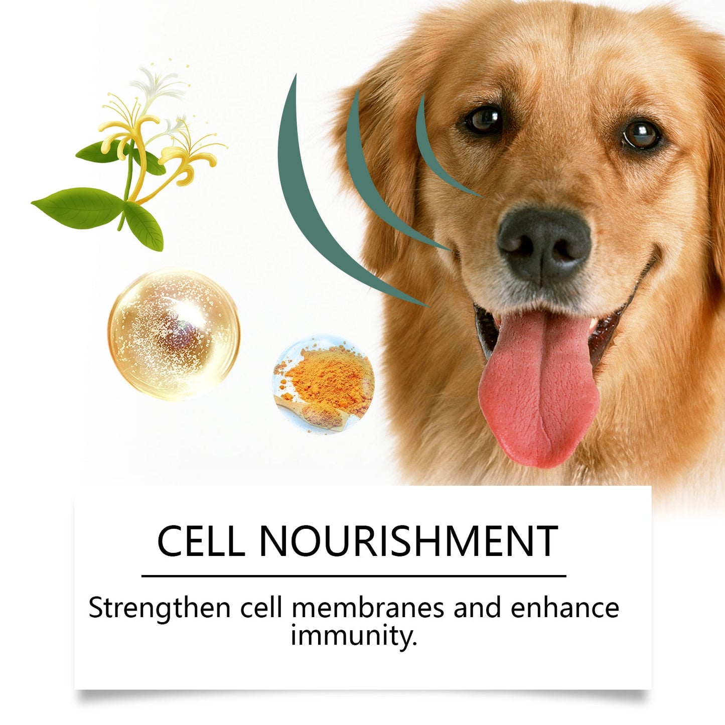 Yegbong Tear stain tablets for dogs Gentle cleaning tablets for pet dogs' tear stains and eye dirt