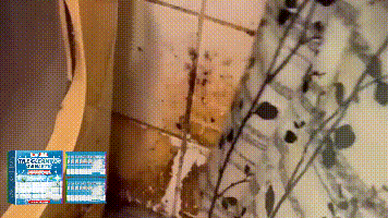 Jue-Fish Tile cleaning effervescent tablets Toilet and sink wall tile stain remover, descaler, and brightening cleaning tablets