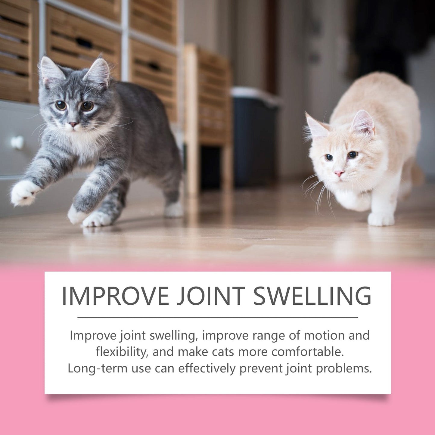 Yegbong Joint care tablets for cats Pet Cat Joint Care: Protecting and Maintaining Pet Joint Health