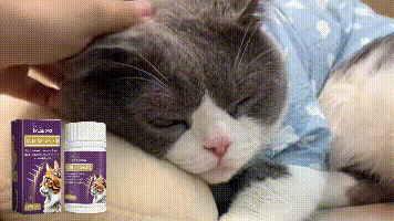 Yegbong Compound Taurine Tablets for Cats Pet nutritional supplement multi-vitamin taurine tablets for cats