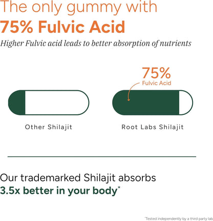10-1 Alpha Gummies | 4000 mg Pure Himalayan Shilajit I KSM 66 Ashwagandha | Maca Root| Tongkat Ali |75% Fulvic Acid| No Sugar | GMO Free I Clean Lab Certified I 85+ Trace Minerals