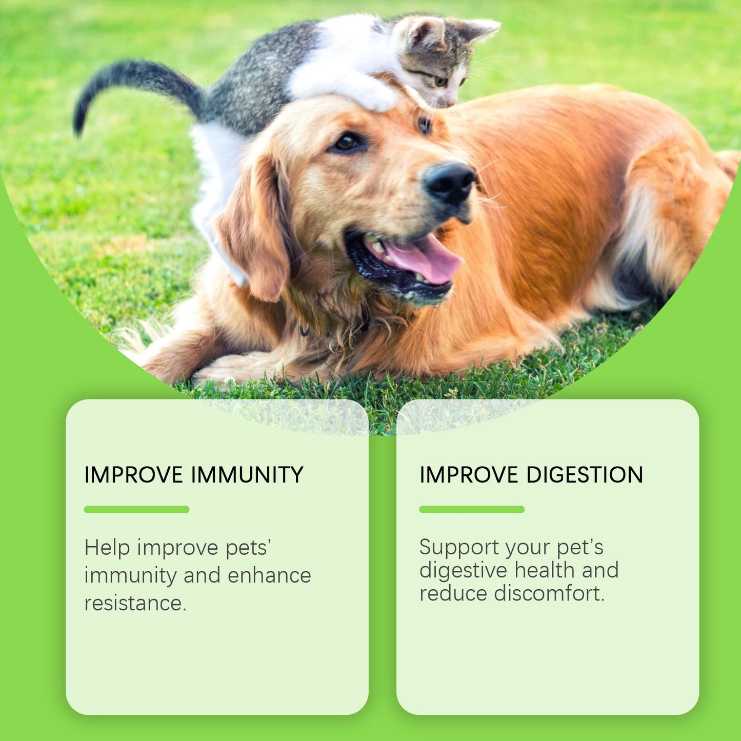 Yegbong Pet Probiotic Tablets Improves intestinal health, promotes nutrient absorption, pet care supplement