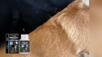 Yegbong Universal Compound Probiotic Tablets for Cats and Dogs Nutritional Supplement Tablets for Pets, Dogs and Cats