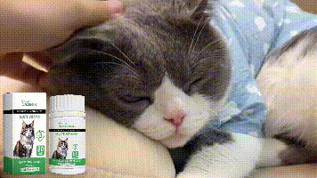 Yegbong Pet Cat Multivitamin Tablets Vitamin and trace element nutritional supplements for cats