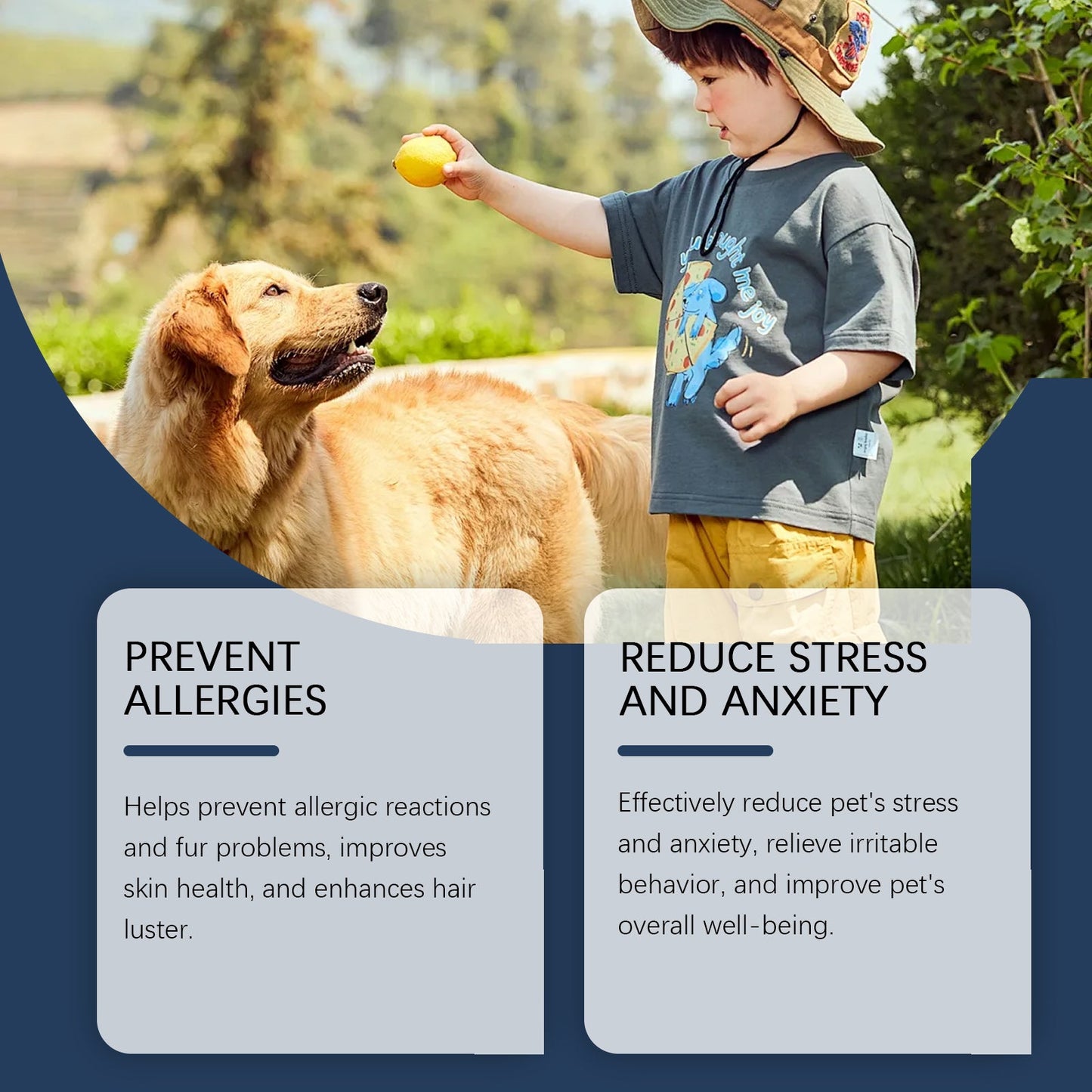 Yegbong Food supplements for dogs Immune-boosting dietary supplement to promote dog vitality and health
