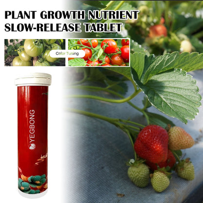 Yegbong Plant Growth Nutrient Slow-Release Tablets Universal Nutrient Tablets for Root Growth in Fruit and Vegetable Plants