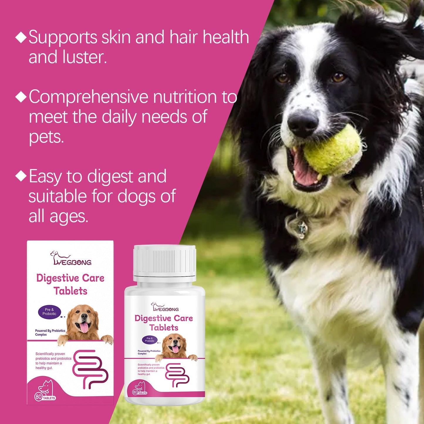 Yegbong Probiotic tablets for dogs Improve intestinal health, balance digestion and absorption, pet nutritional supplements