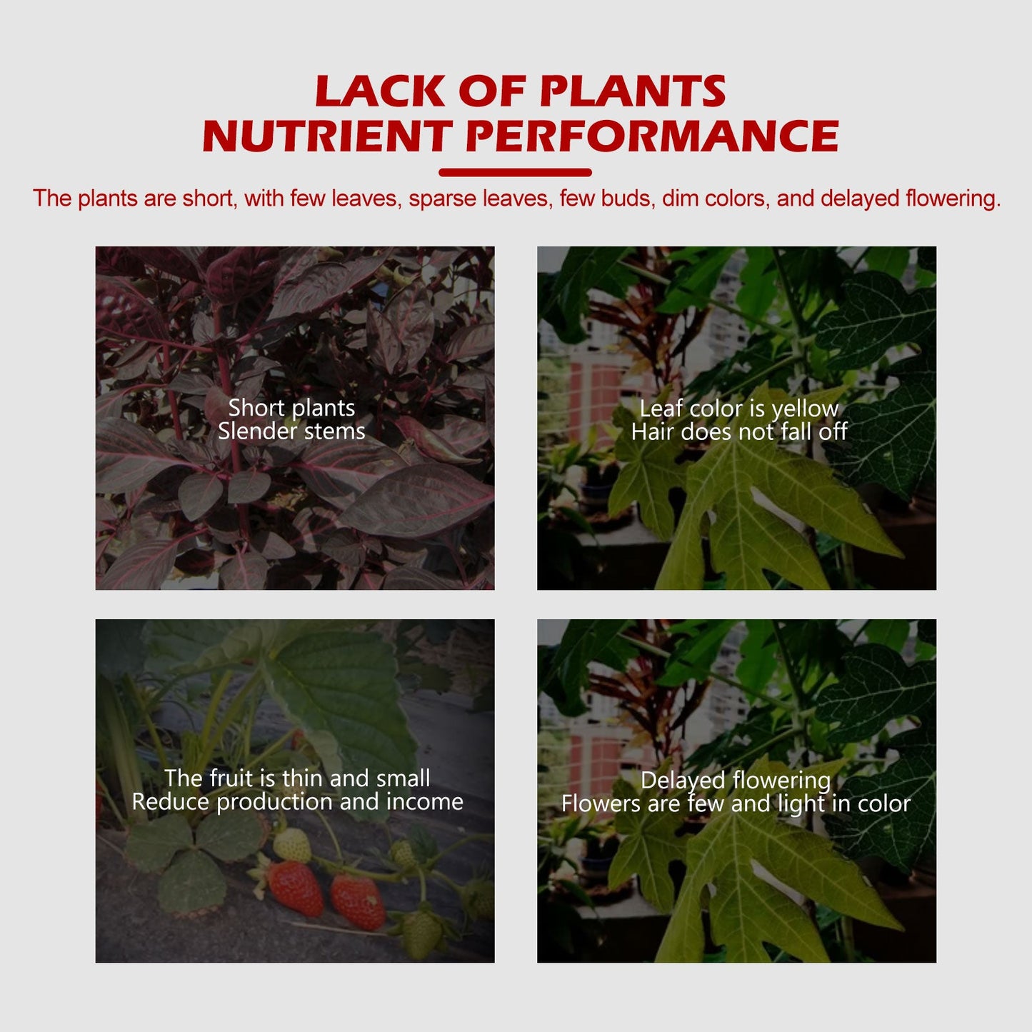 Yegbong Plant Growth Nutrient Slow-Release Tablets Universal Nutrient Tablets for Root Growth in Fruit and Vegetable Plants