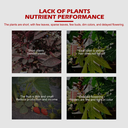 Yegbong Plant Growth Nutrient Slow-Release Tablets Universal Nutrient Tablets for Root Growth in Fruit and Vegetable Plants