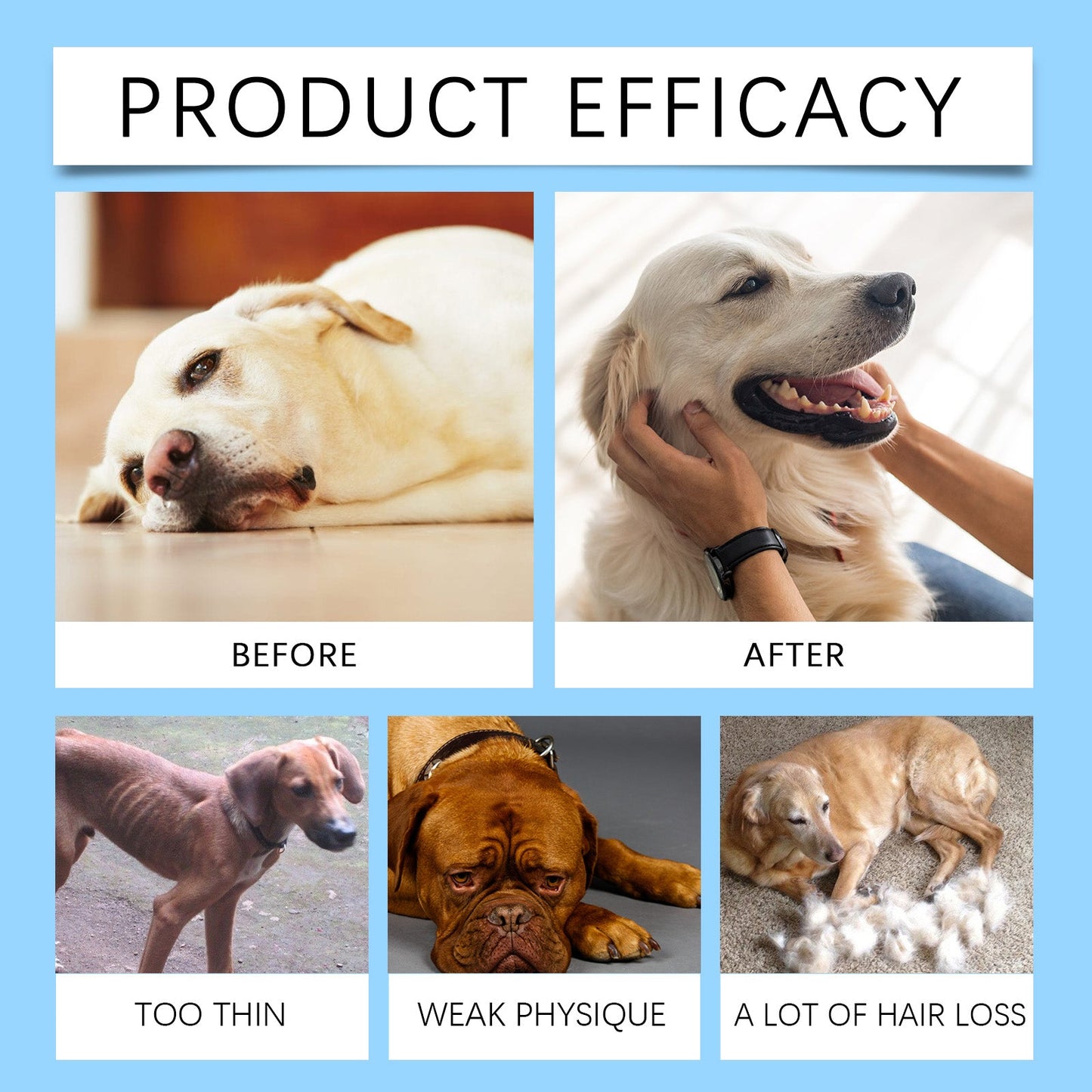Yegbong Multivitamin tablets for dogs Special nutritional supplements for cats and dogs