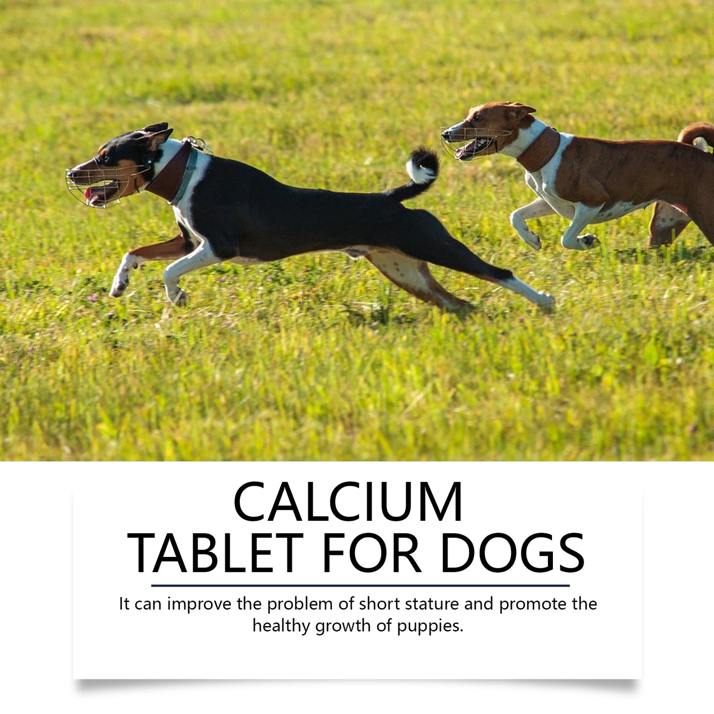 Yegbong Calcium Tablets for Dogs Pet Vitamin Supplement Oral Care Dietary Health Nutrition Calcium Tablets
