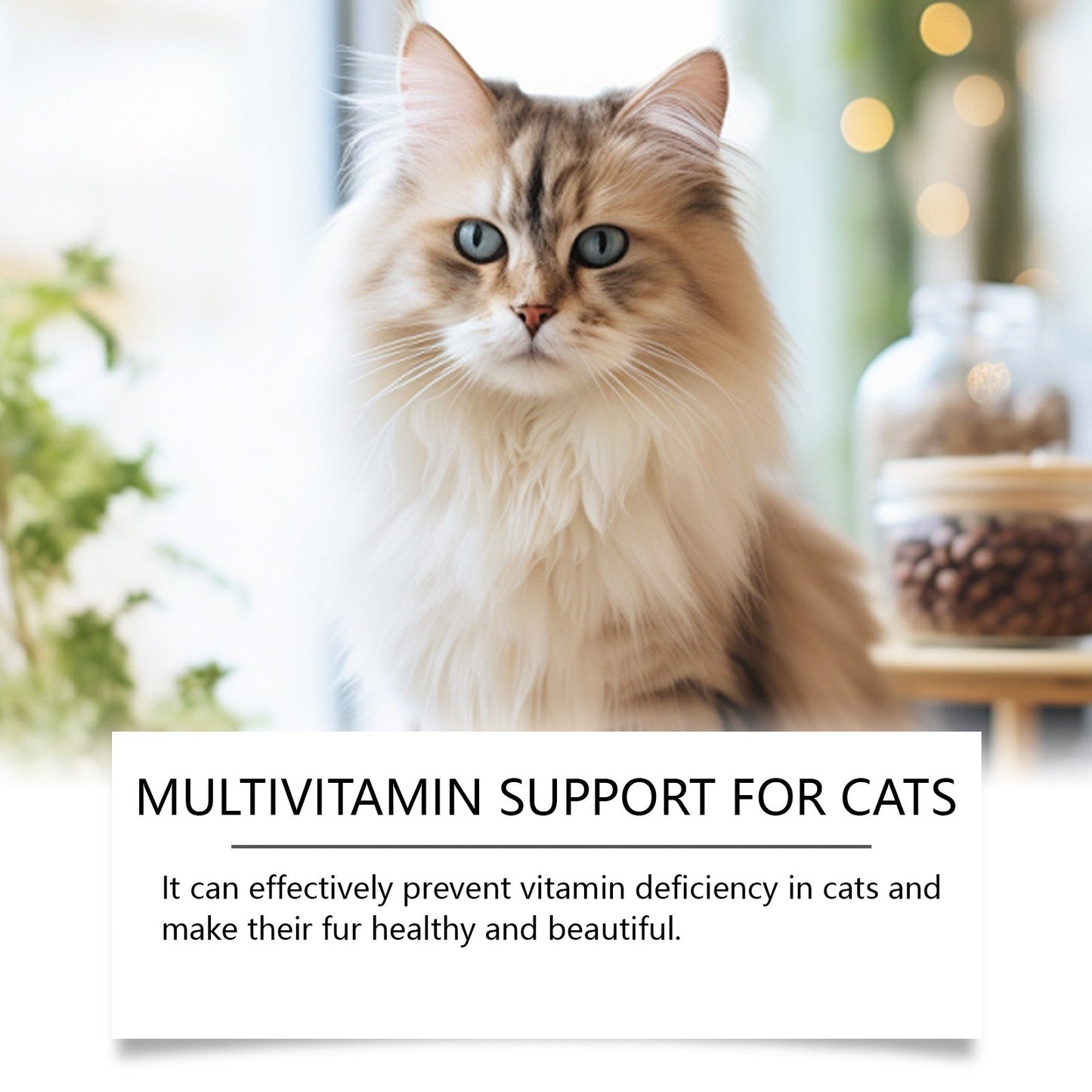 Yegbong Pet Cat Multivitamin Tablets Vitamin and trace element nutritional supplements for cats