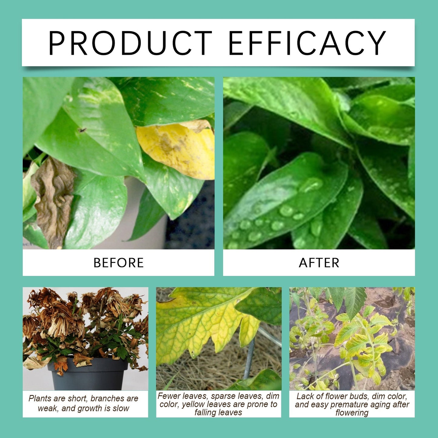 MoonSpry Universal Slow-Release Green Tablet Fertilizer Promotes plant growth, organic compound fertilizer tablets for gardening