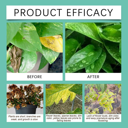 MoonSpry Universal Slow-Release Green Tablet Fertilizer Promotes plant growth, organic compound fertilizer tablets for gardening