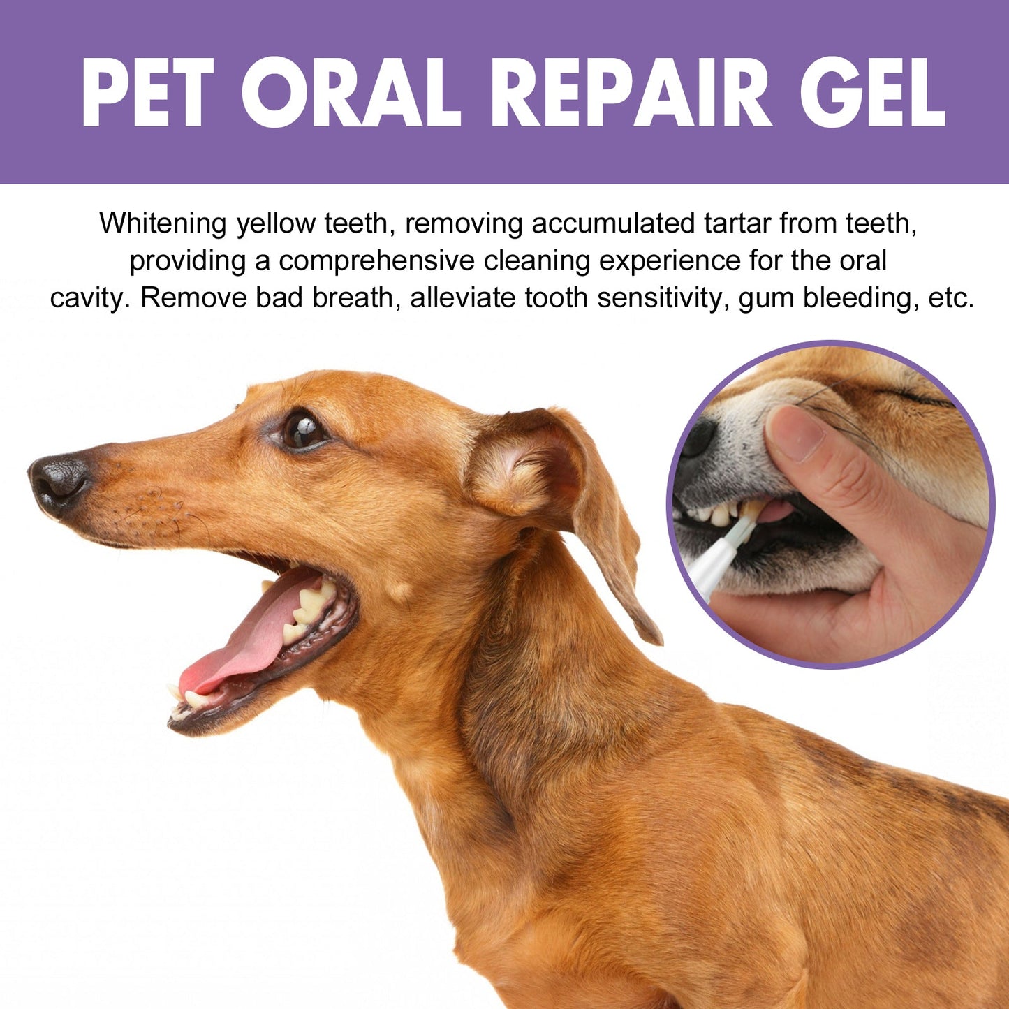 Yegbong Pet Oral Repair Gel（2pcs） Deep cleaning of dog and cat teeth, oral hygiene care