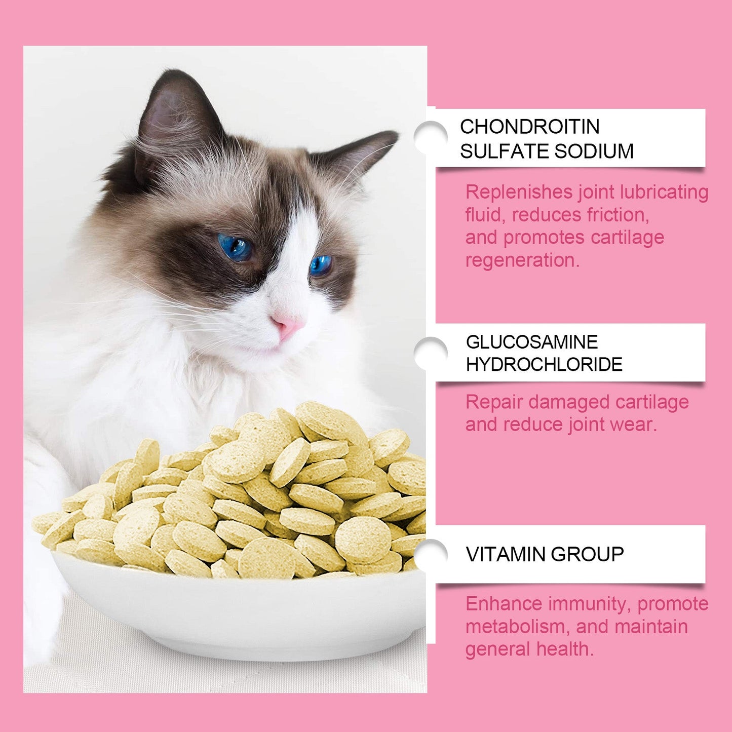 Yegbong Joint care tablets for cats Pet Cat Joint Care: Protecting and Maintaining Pet Joint Health