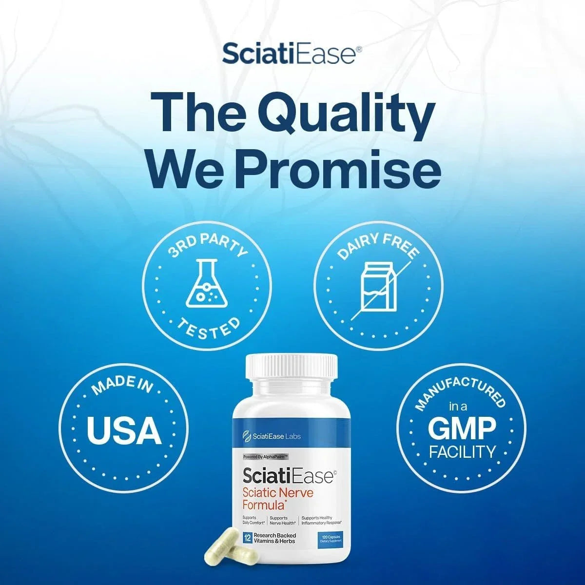 SciatiEase Labs Sciati Ease Sciatic Nerve Formula 120 Capsules